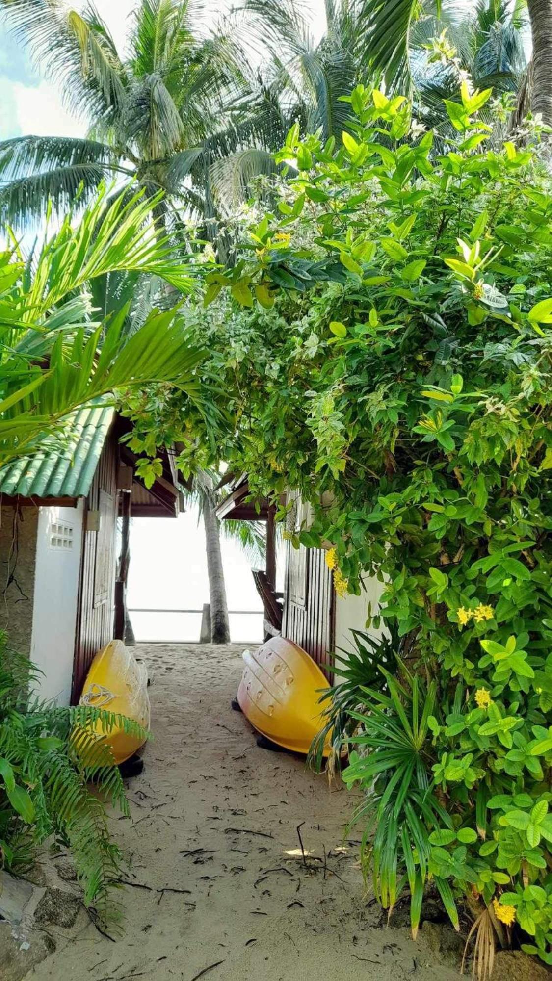 Beer'S House Bungalows เบียร์เฮ้าส์บังกะโล Ban Lamai Extérieur photo